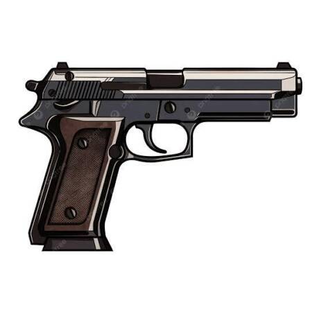 Personal Gun