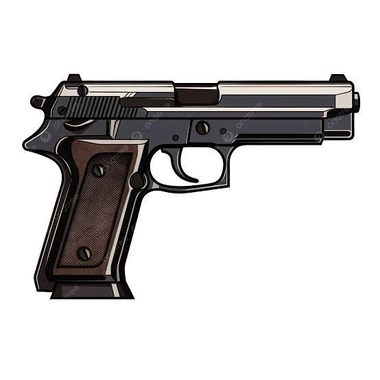 Personal Gun